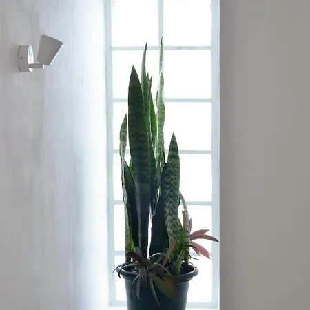 Holiday home Sunrise House- 4 Bedroom House With Amazing Sunrise Over The Sea 8 Guests *